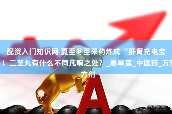 配资入门知识网 夏至冬至采药炼成 “肝肾充电宝”！二至丸有什么不同凡响之处？_墨旱莲_中医药_方剂
