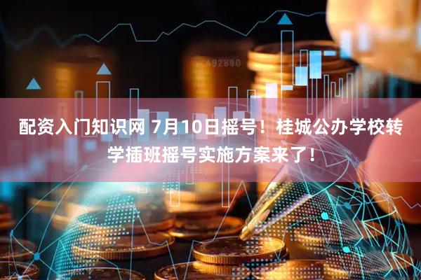 配资入门知识网 7月10日摇号！桂城公办学校转学插班摇号实施方案来了！